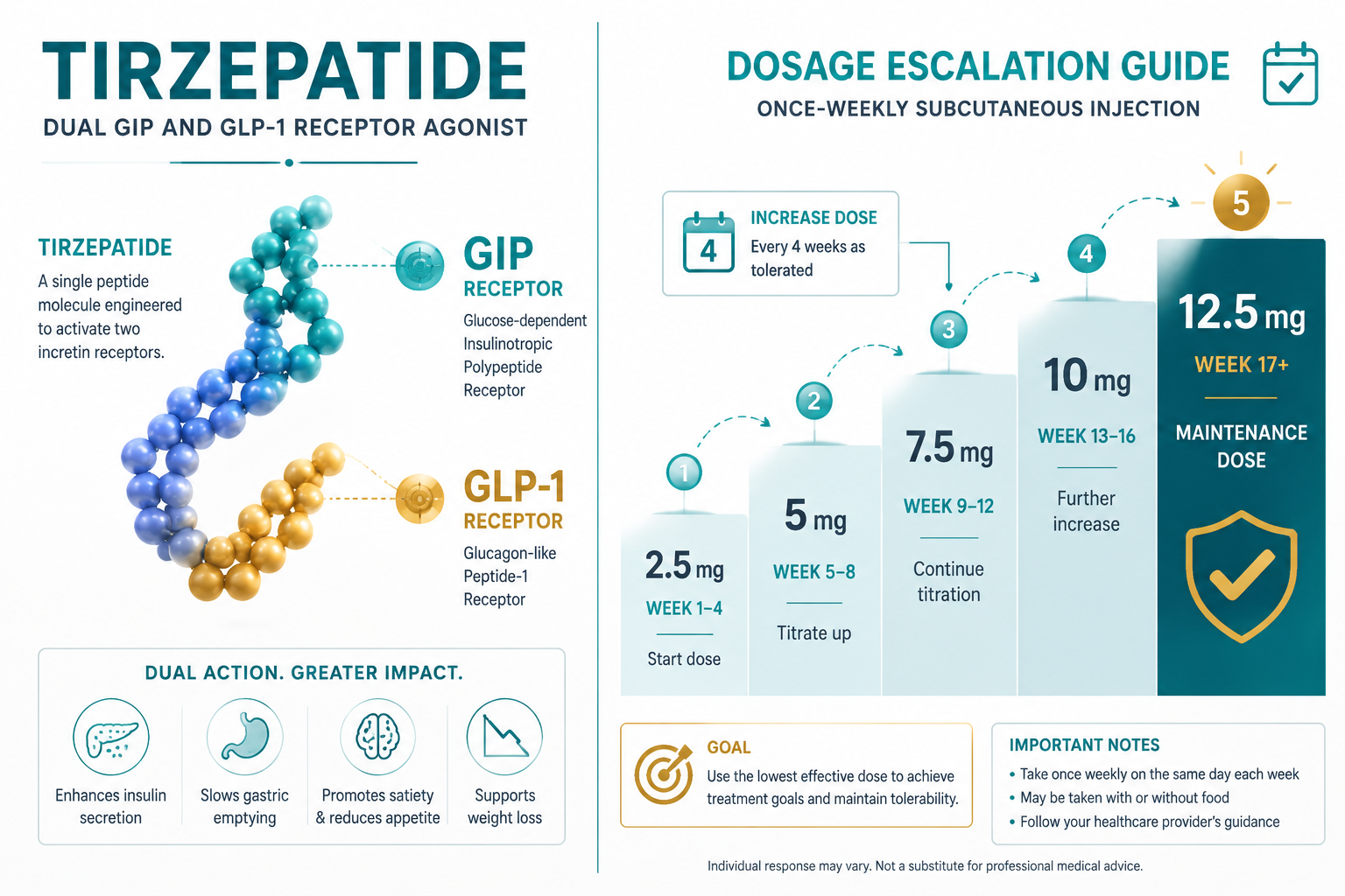 How Tirzepatide dosage levels affect the body
