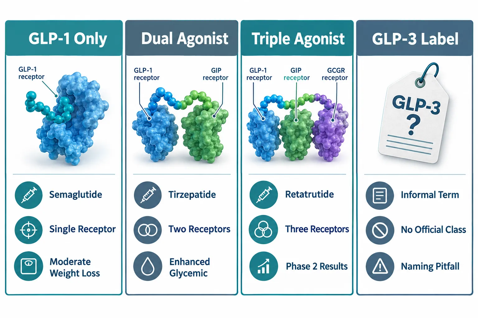 Retatrutide Receptor Activity: Triple Agonism Explained