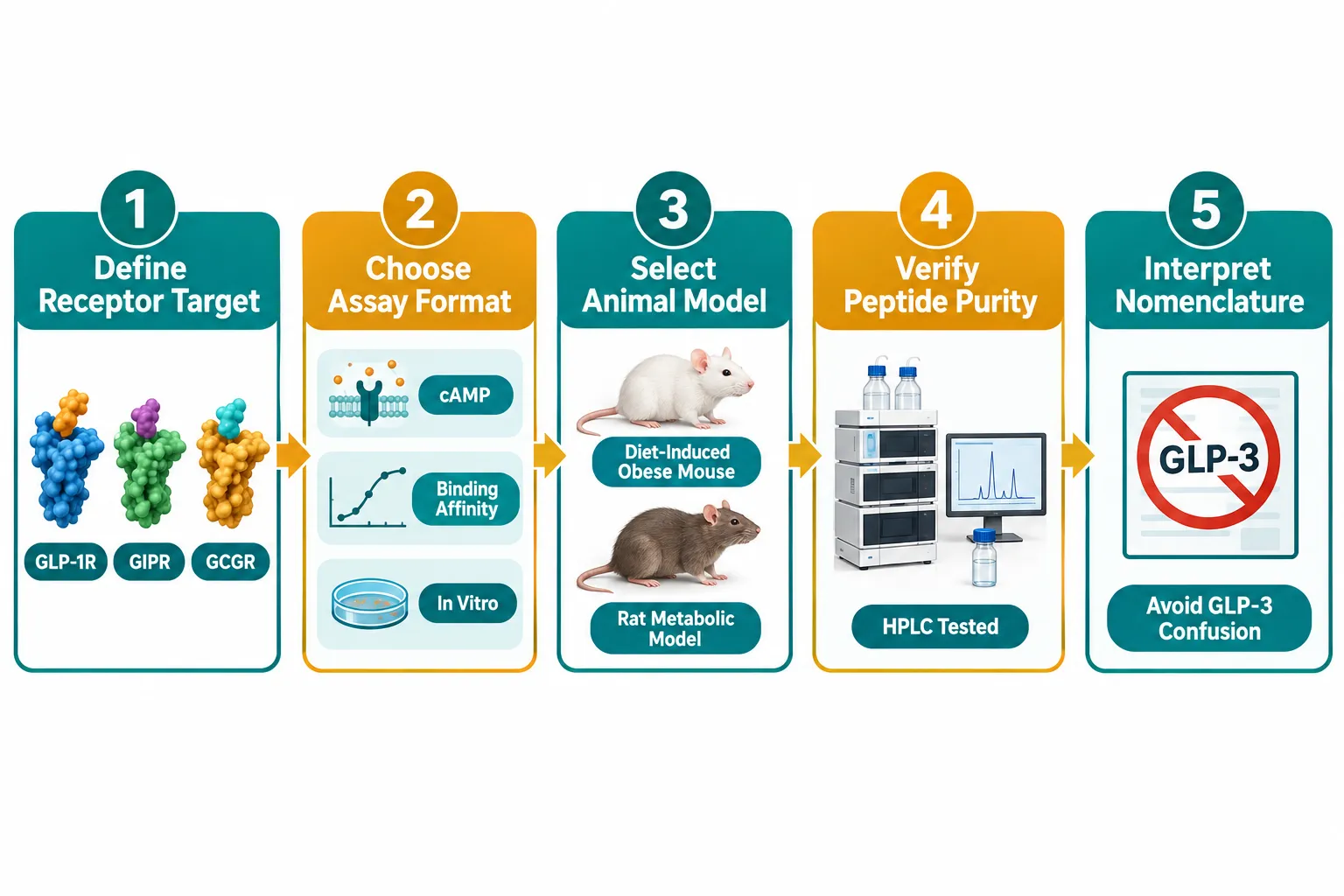 Research-Model Selection for Retatrutide and Triple-Agonist Studies