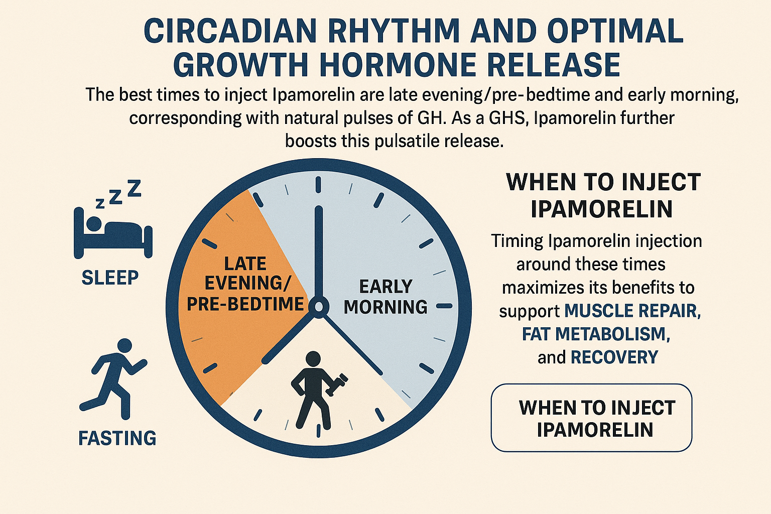 Infographic illustrating the circadian rhythm and its intersection with optimal growth hormone release, specifically detailing the best time