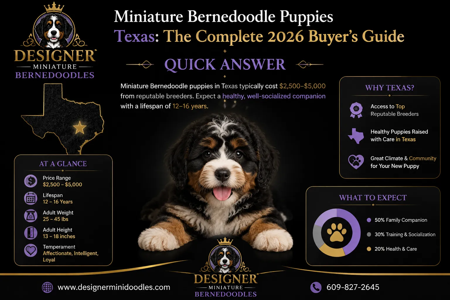 miniature bernedoodle puppies Texas