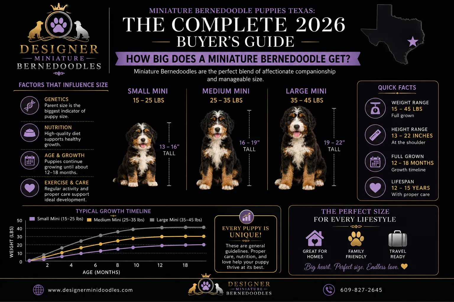 Miniature bernedoodle full grown