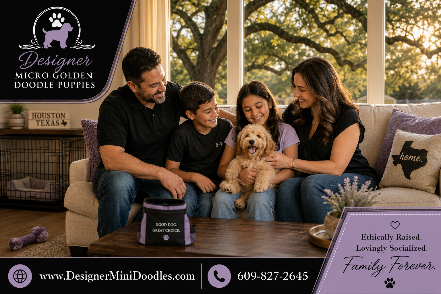 micro golden doodle puppies houston