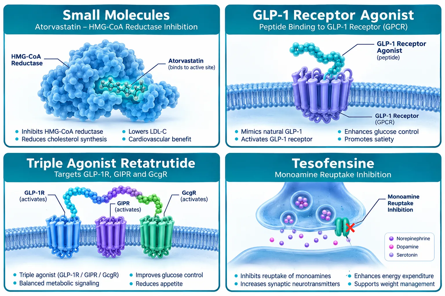 The Mechanistic Divide: How GLP Peptides Differ From Traditional Small-Molecule Drugs