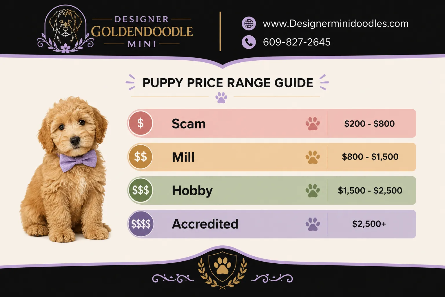 How Much Does a Mini Goldendoodle Cost in Tampa?