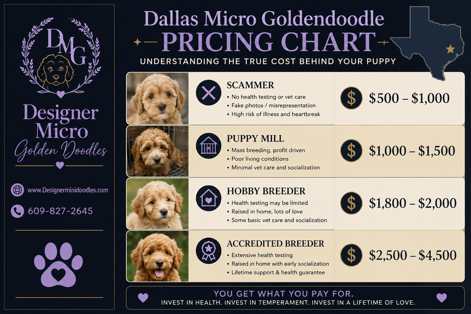 micro goldendoodle for sale Dallas