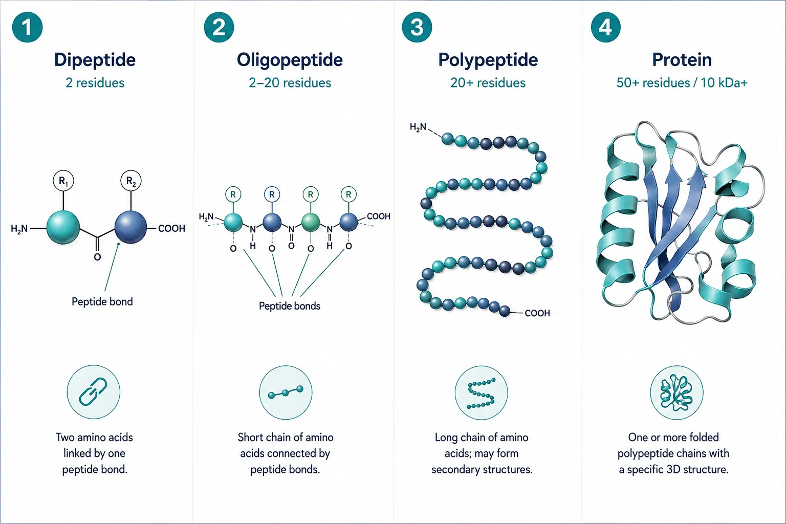 Defining the Building Blocks: Chain Length and Nomenclature
