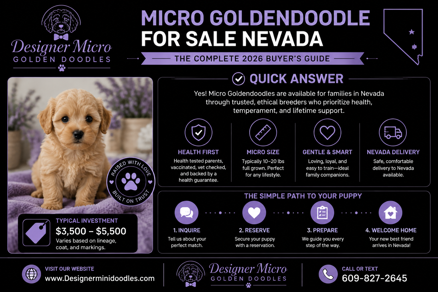 micro goldendoodle for sale Nevada