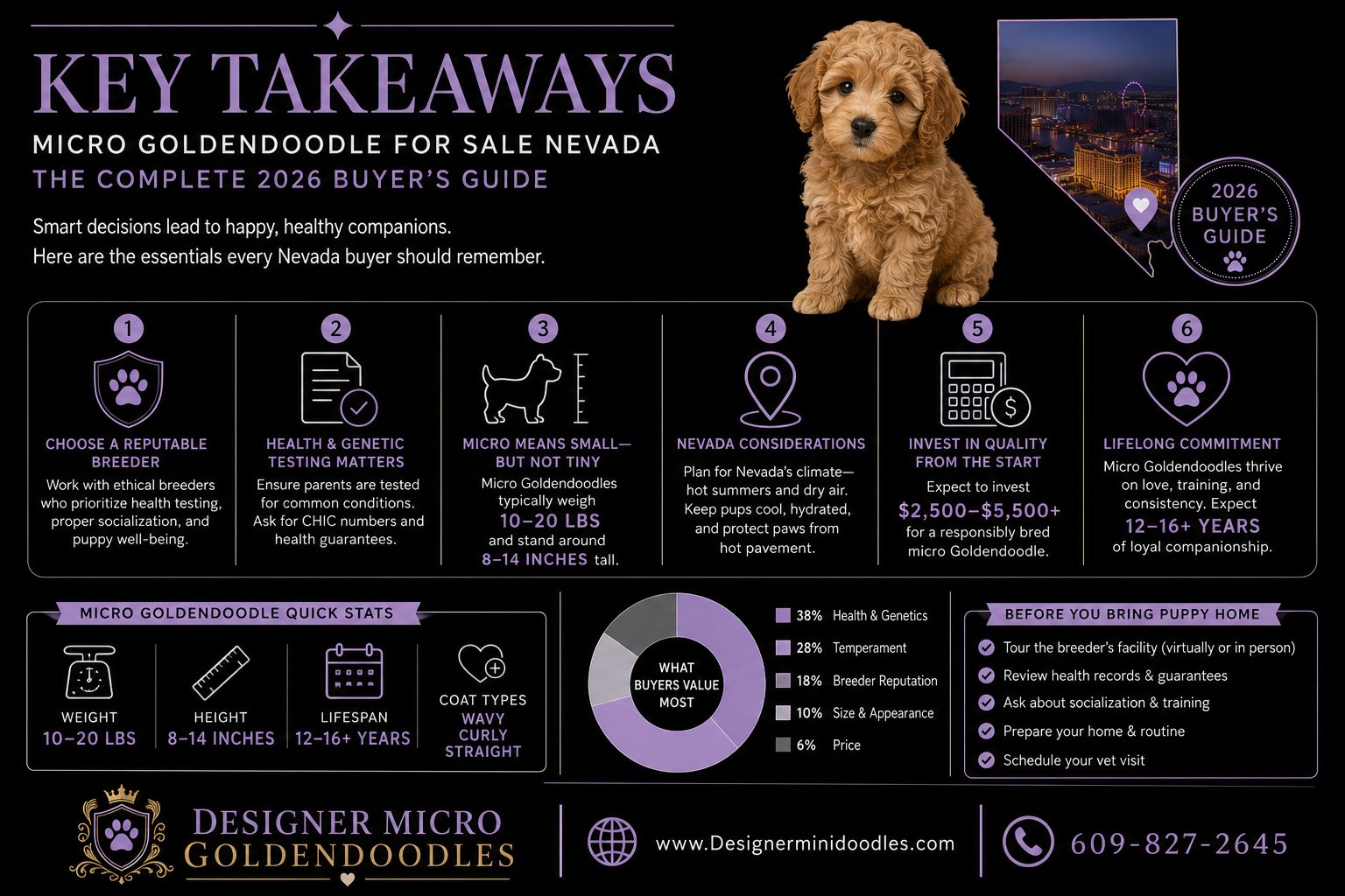 How Much Does a Micro Goldendoodle Cost in Nevada?