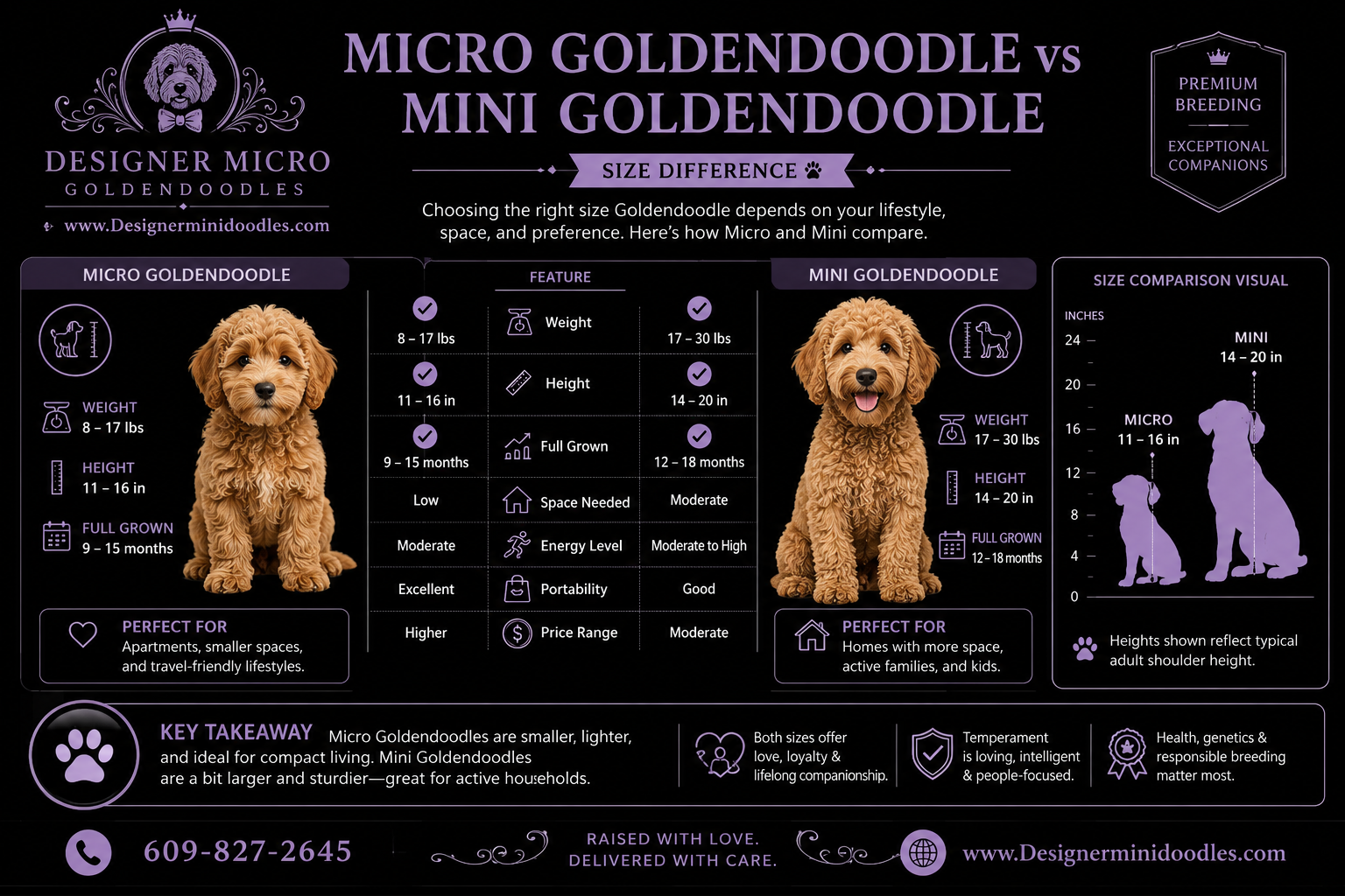 micro goldendoodle for sale Nevada
