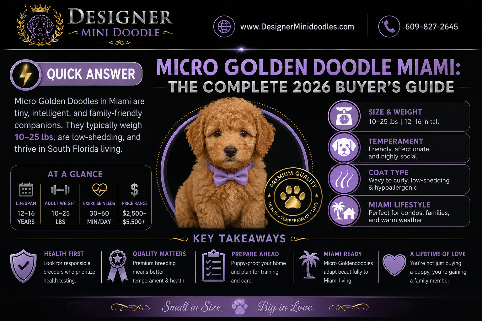 micro golden doodle Miami