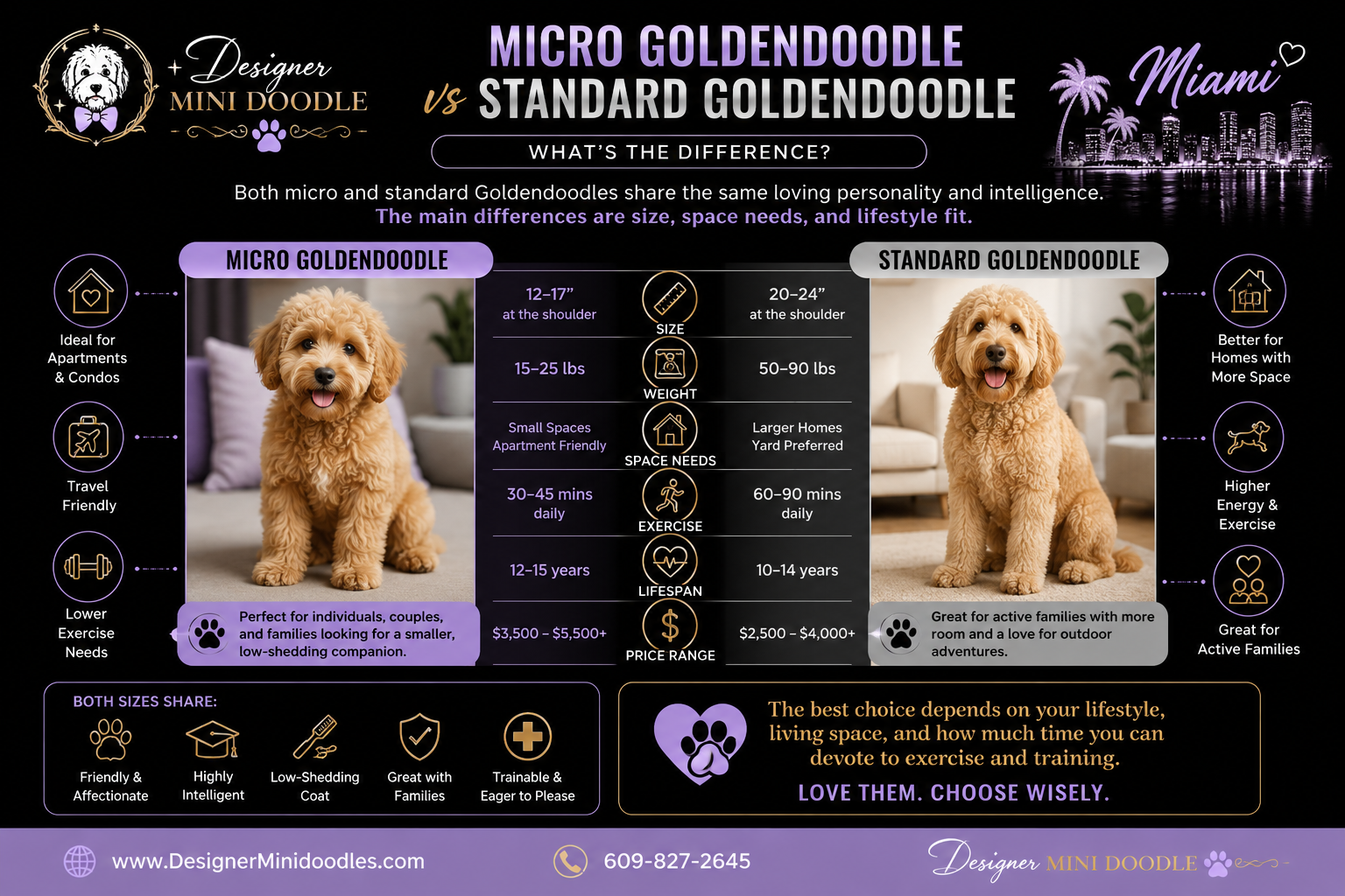 micro golden doodle Miami