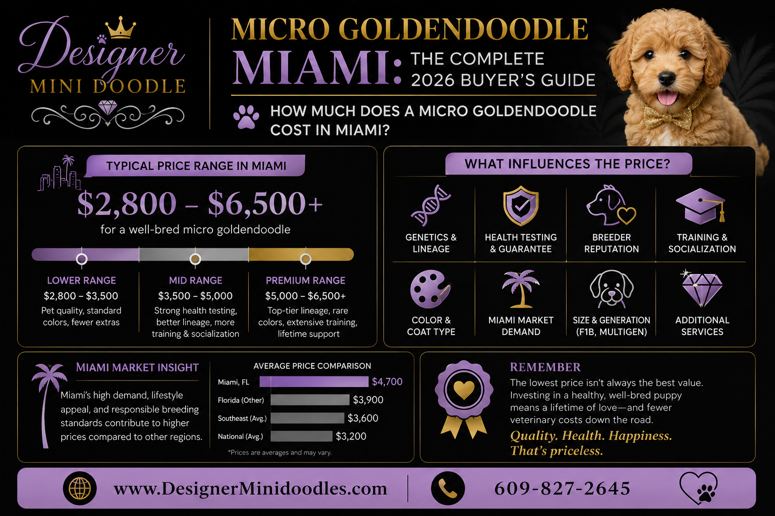 Micro goldendoodle price guide