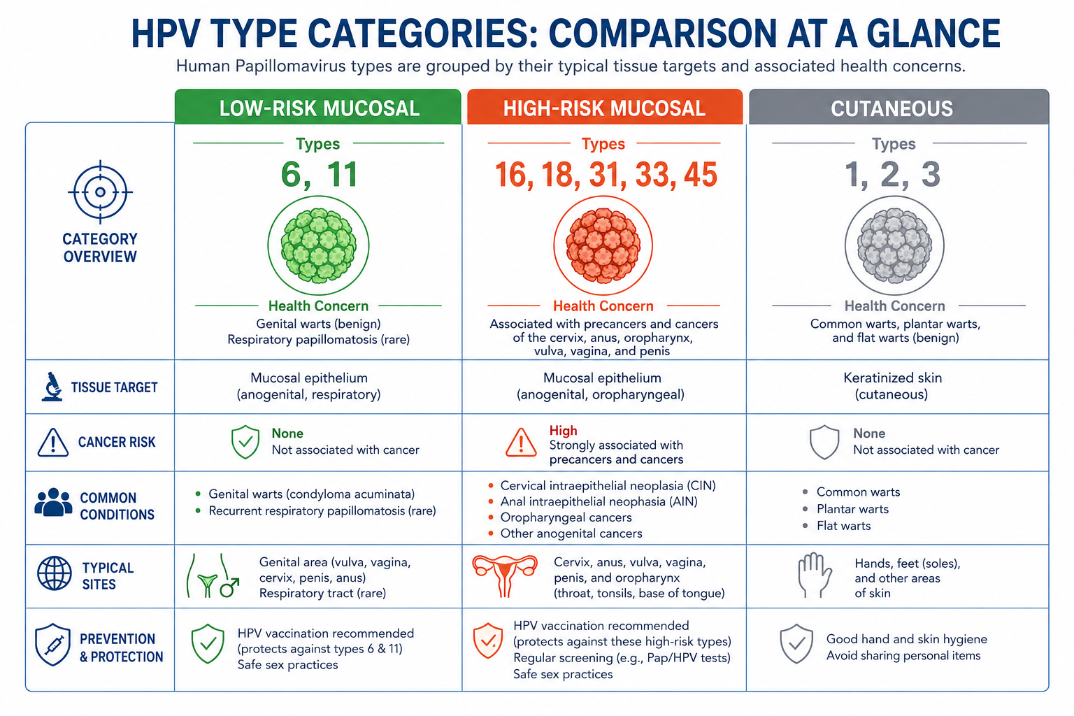 Detailed () informational graphic showing a clean three-column comparison table of HPV type categories: Low-Risk Mucosal