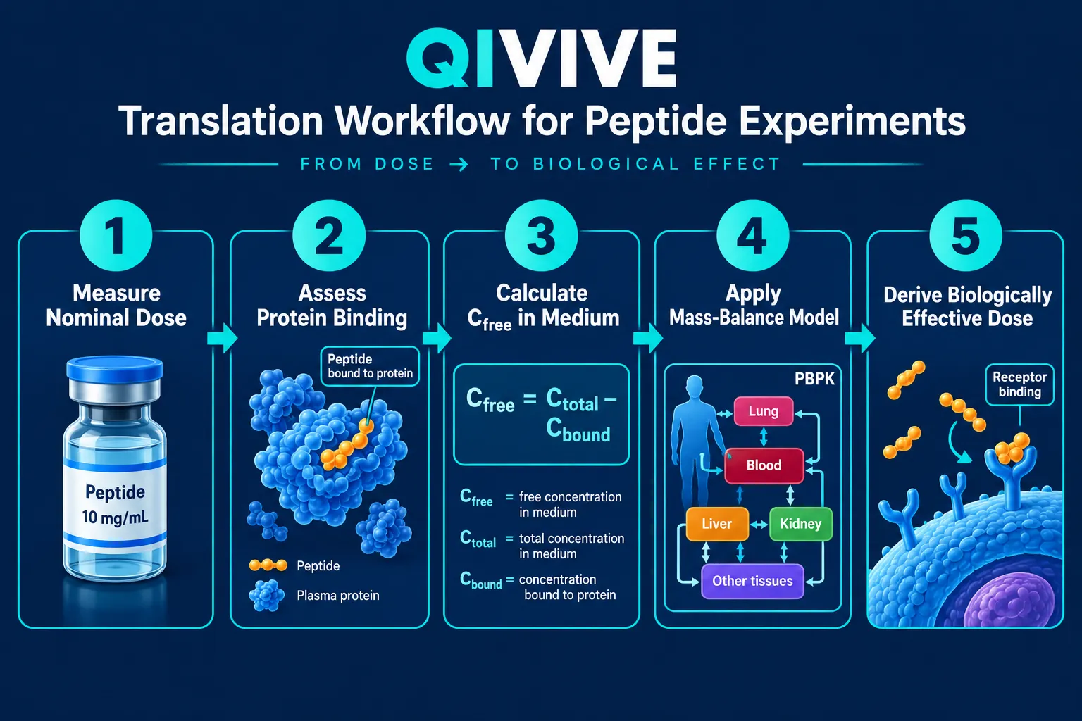 Practical Steps for Implementing Biologically Effective Dose in Peptide Experiments