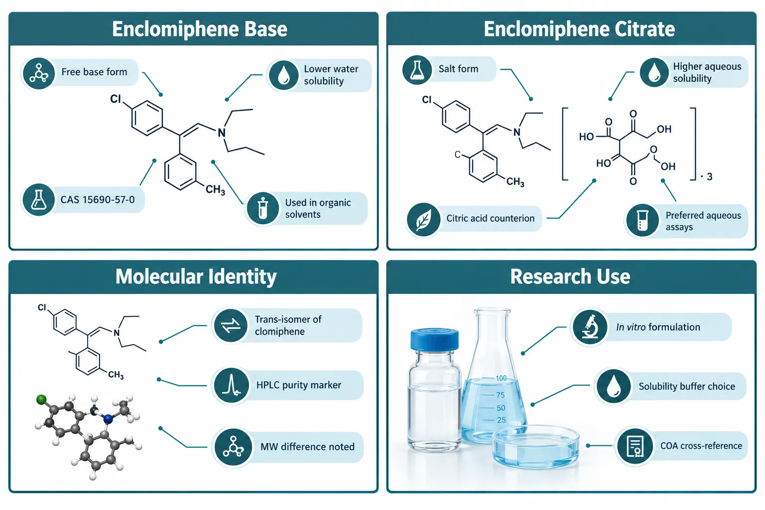 Chemical Identity: What Separates Enclomiphene Base from Its Citrate Salt