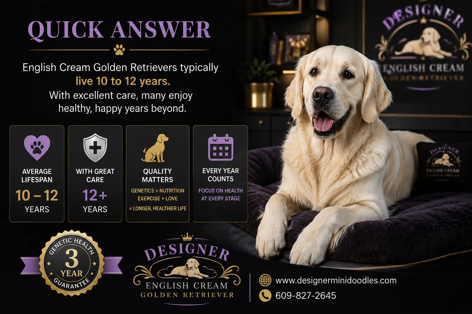 english cream golden retriever lifespan