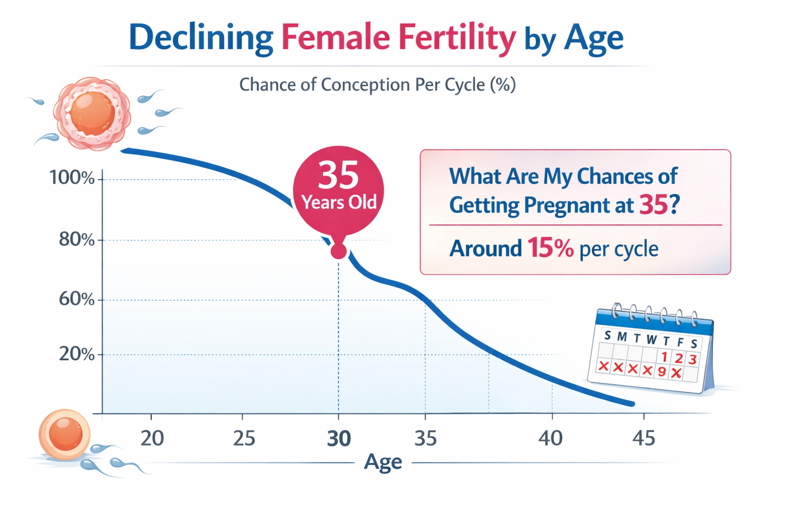 A compelling infographic illustrating the decline of female fertility by age, specifically highlighting the curve from 30 to 40, with a prom