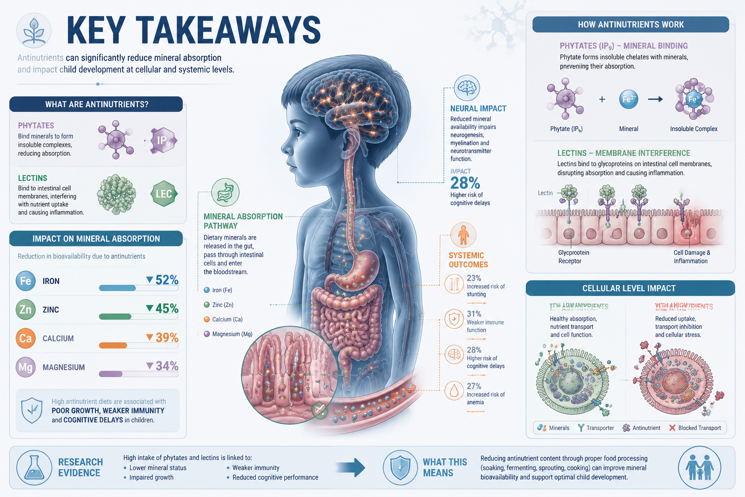 Key Takeaways section infographic with scientific medical illustration style: Stylized child silhouette with transparent