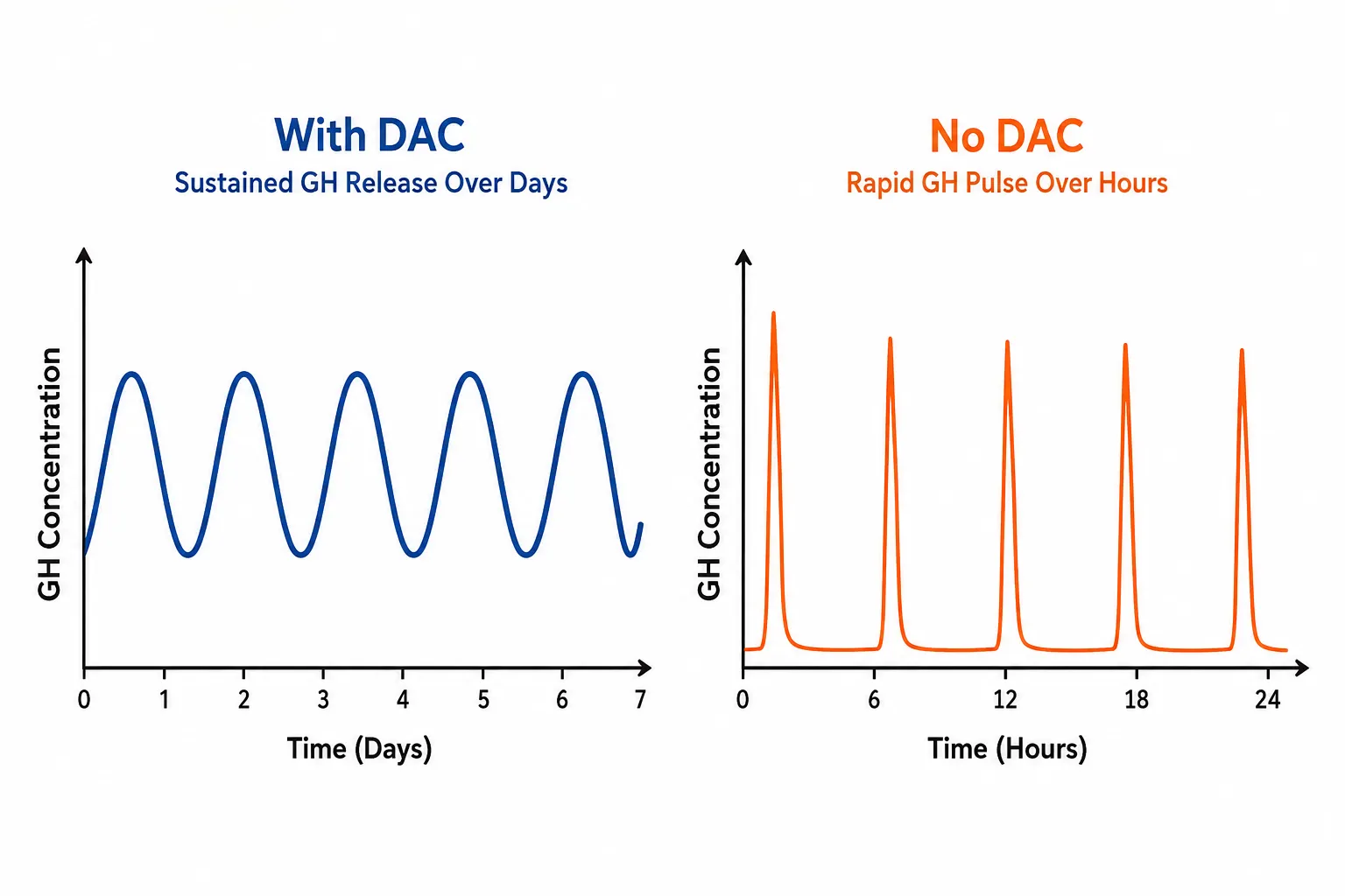 Pharmacokinetic Comparison: Half-Life, GH Pulse Architecture, and Desensitization Risk