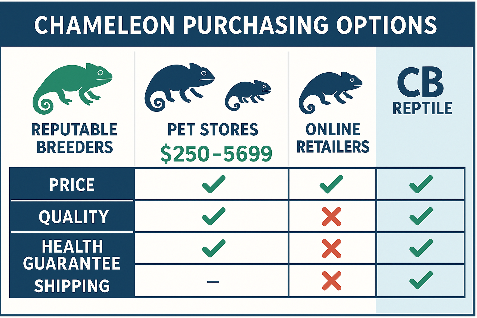 Detailed infographic showing comparison chart of chameleon purchasing options - reputable breeders vs pet stores vs online retailers. Visual