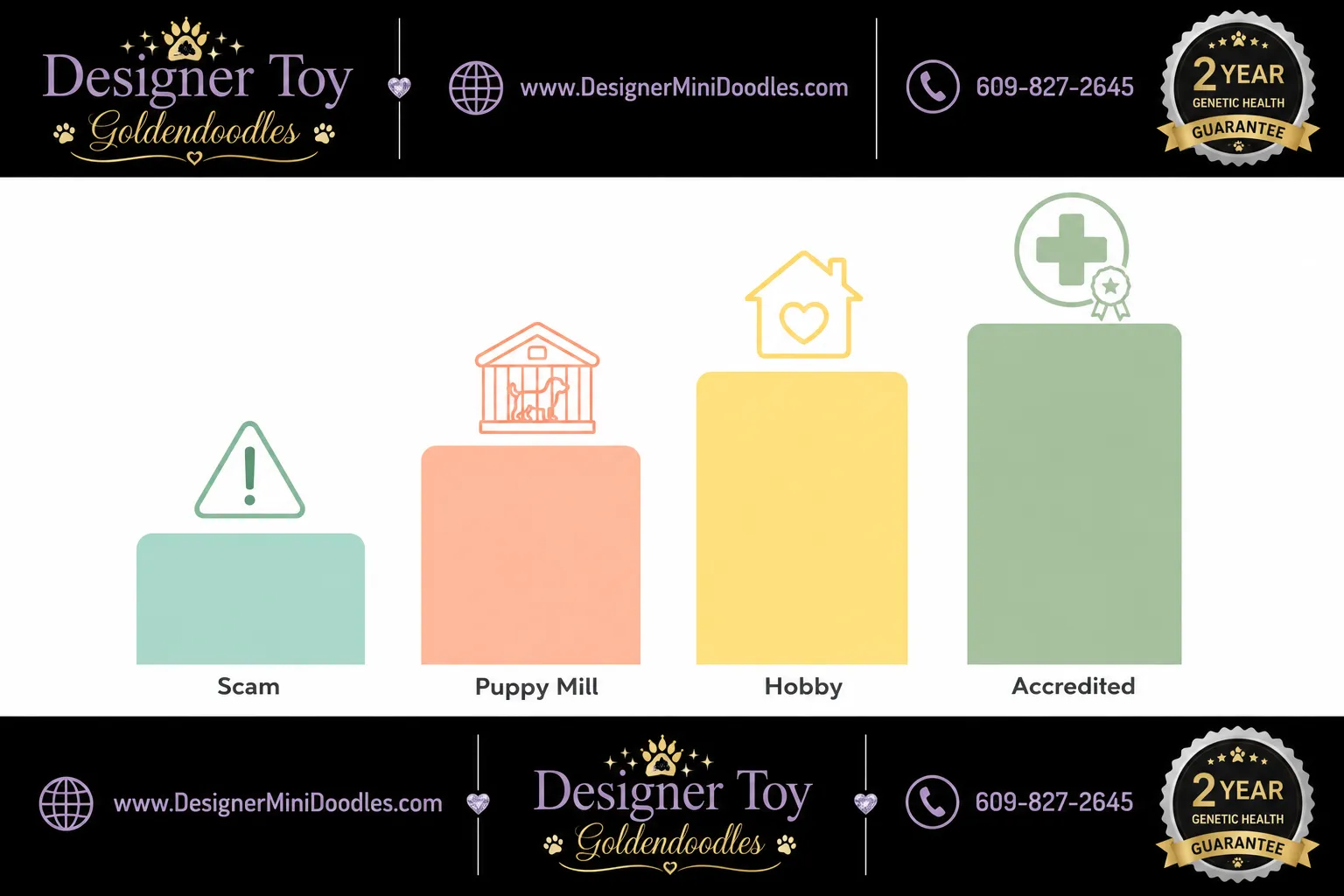 Toy goldendoodle grooming requirements and maintenance