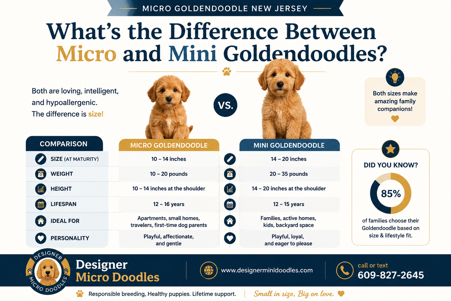What's the average price of micro goldendoodle puppies in NJ?