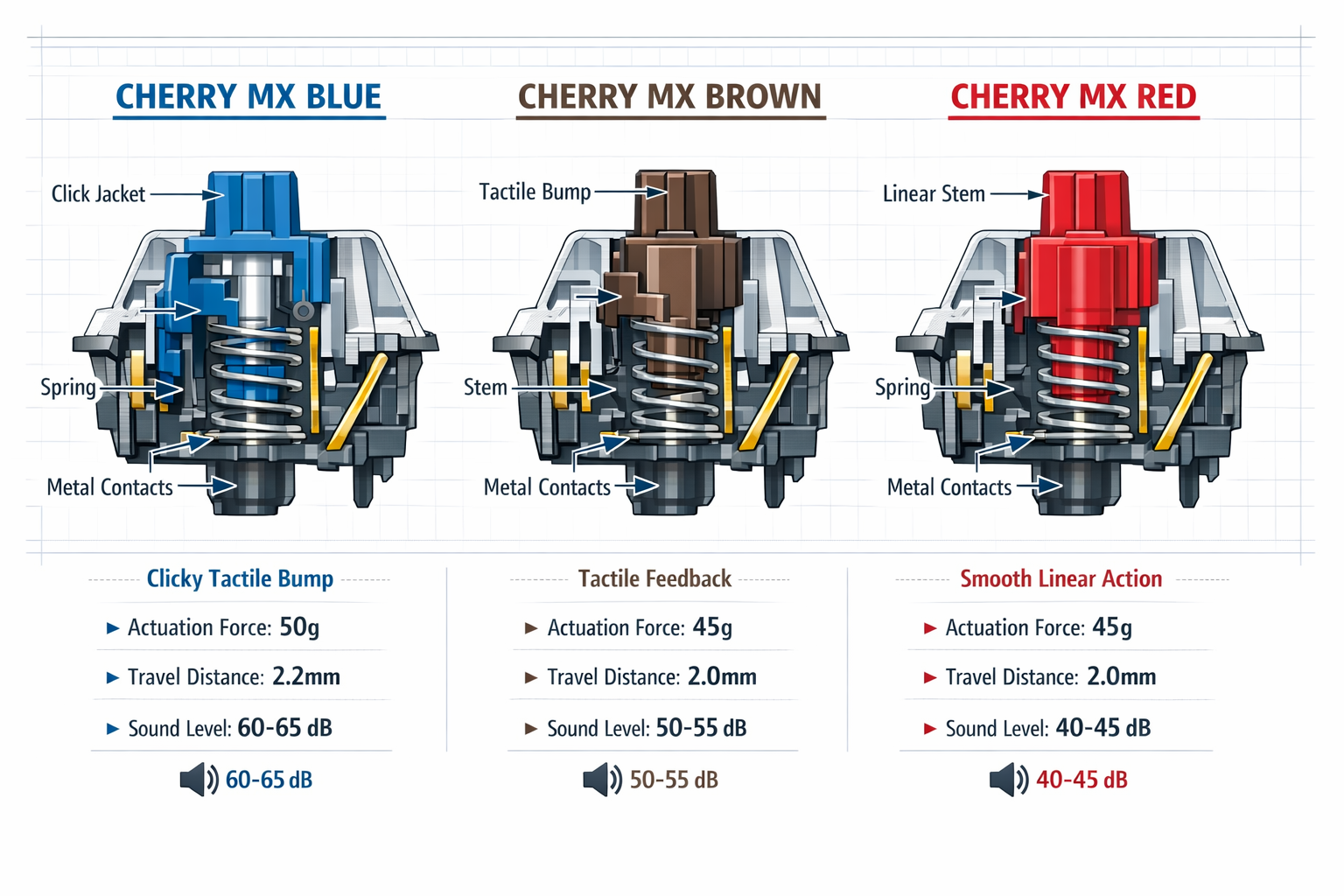 Detailed technical illustration (1536x1024) showing three mechanical keyboard switches side by side - Cherry MX Blue with clicky tactile bum