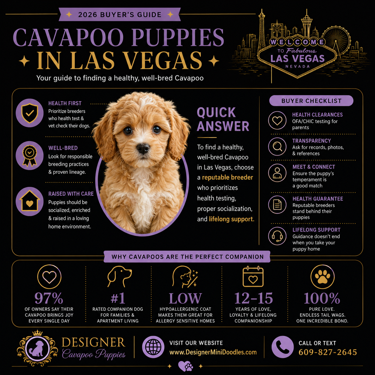 Cavapoo for sale Las Vegas