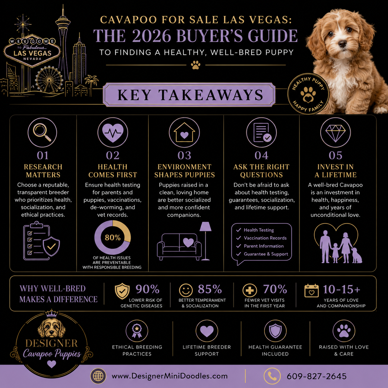 Cavapoo for sale Las Vegas