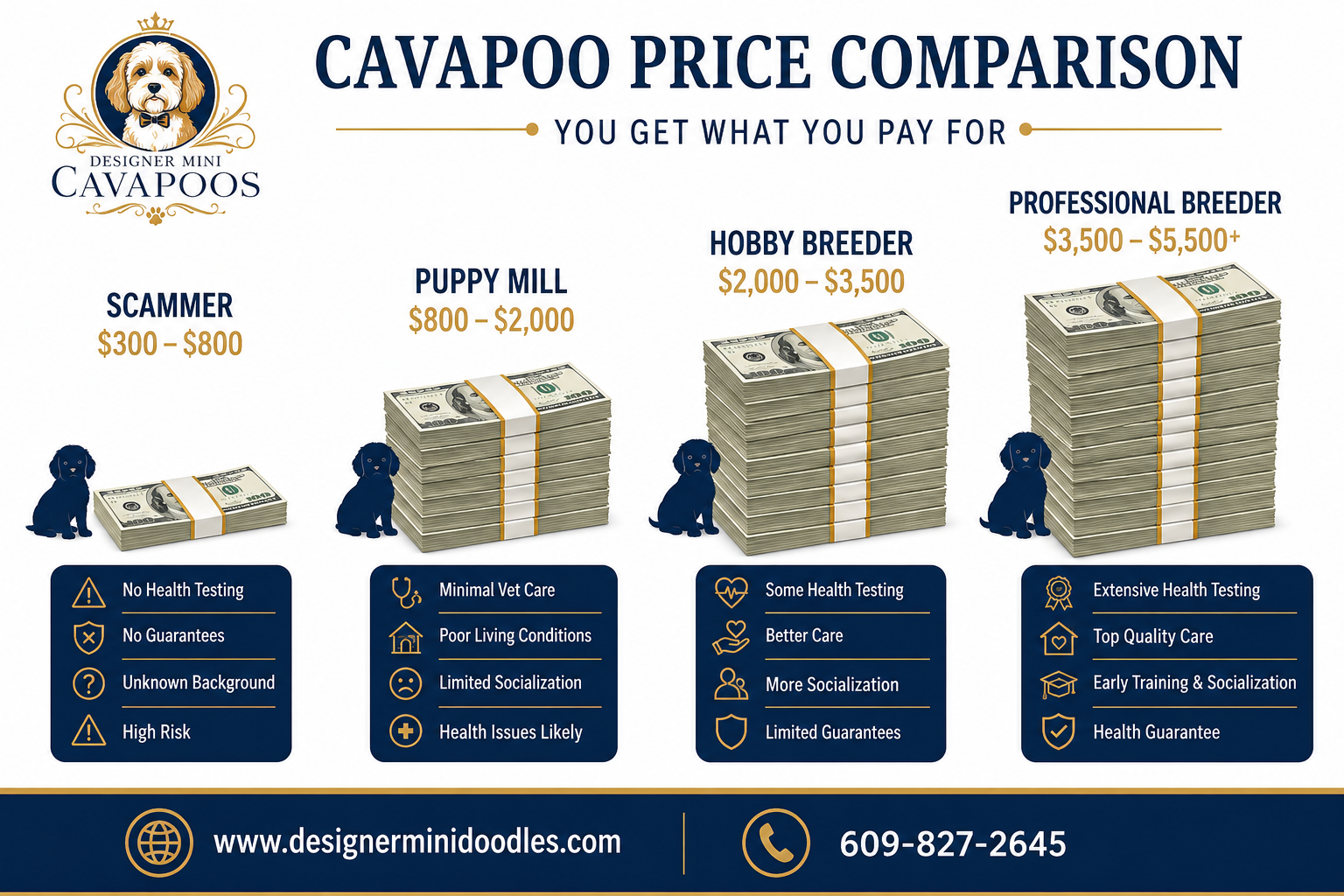 How Much Do Cavapoo Puppies Cost?