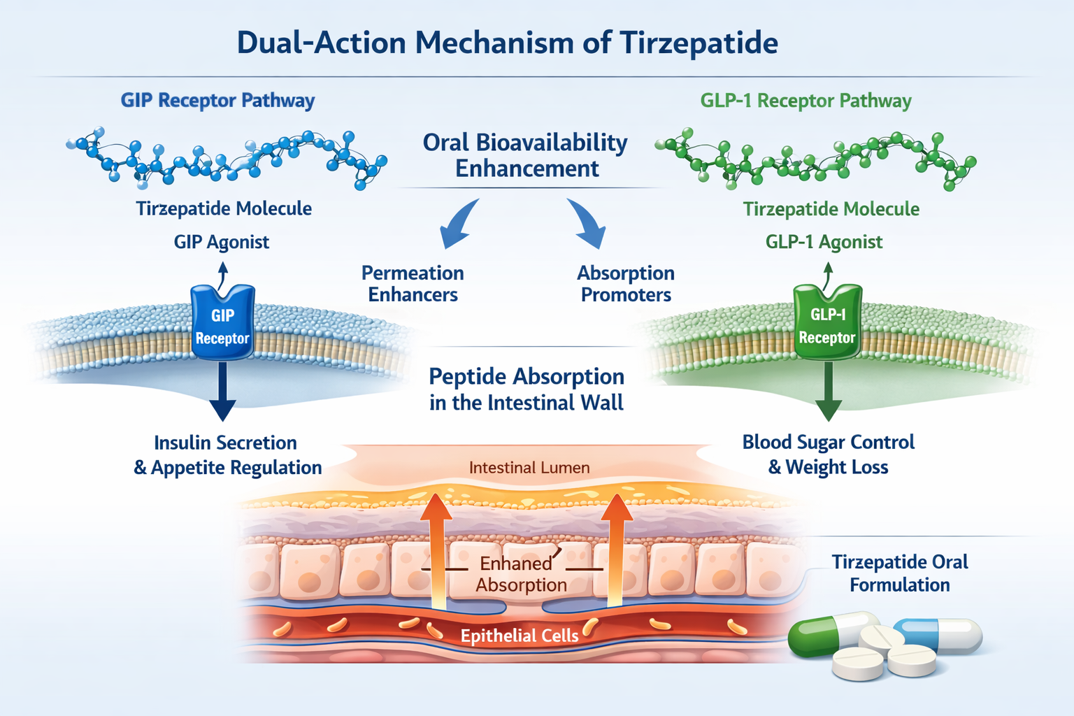 Oral Tirzepatide