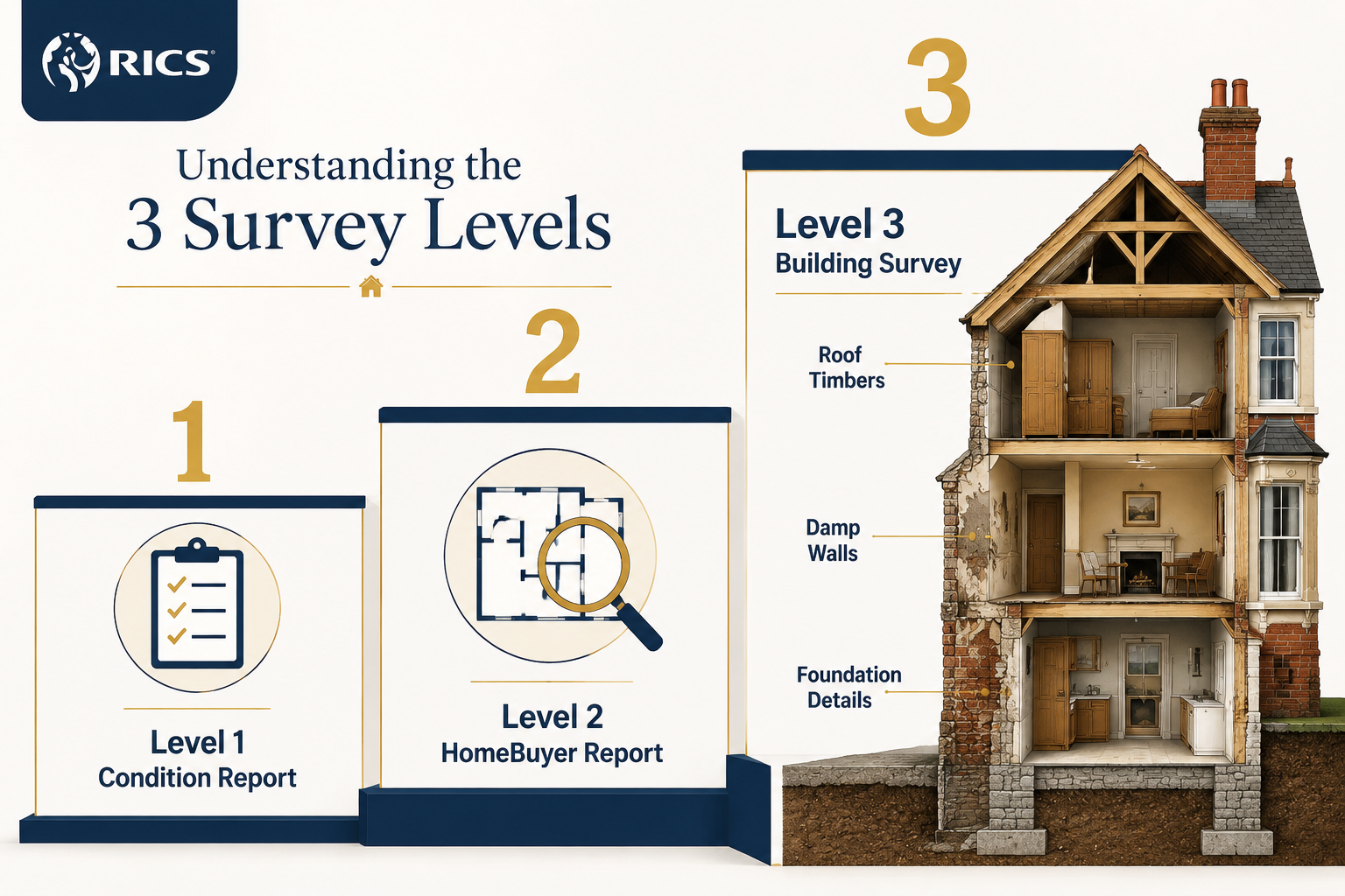 () detailed comparison visual showing three distinct survey tiers arranged as ascending steps: Step 1 labeled 'Level 1