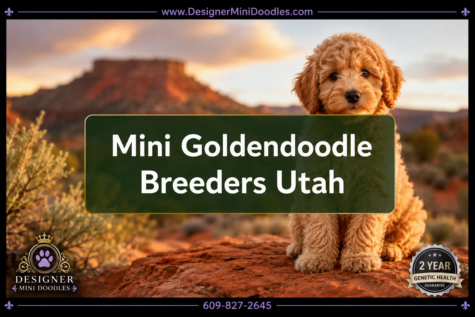 mini goldendoodle breeders Utah
