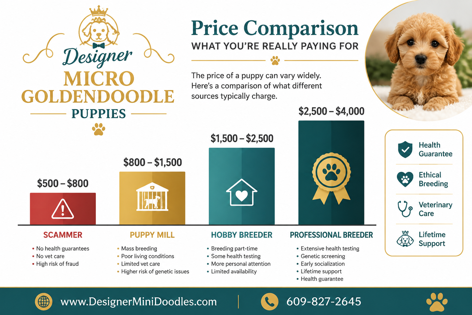 Training Tips for Micro Goldendoodle Puppies