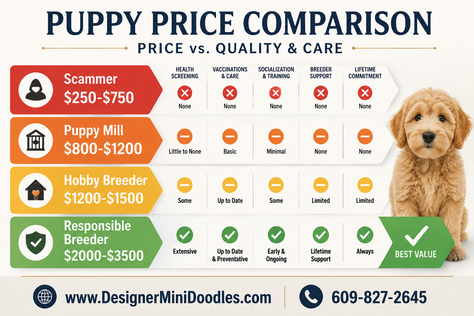 Mini goldendoodle price