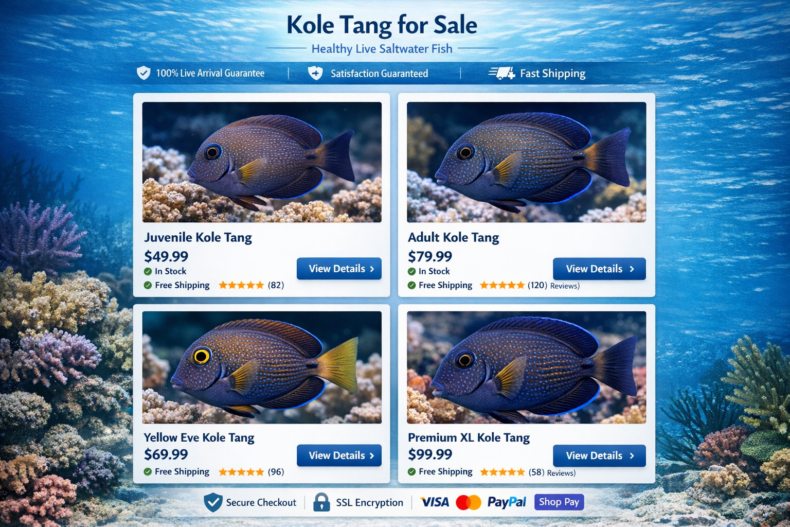 Professional online shopping interface mockup showing Kole tang product listings with high-quality fish photographs, pricing information, sh