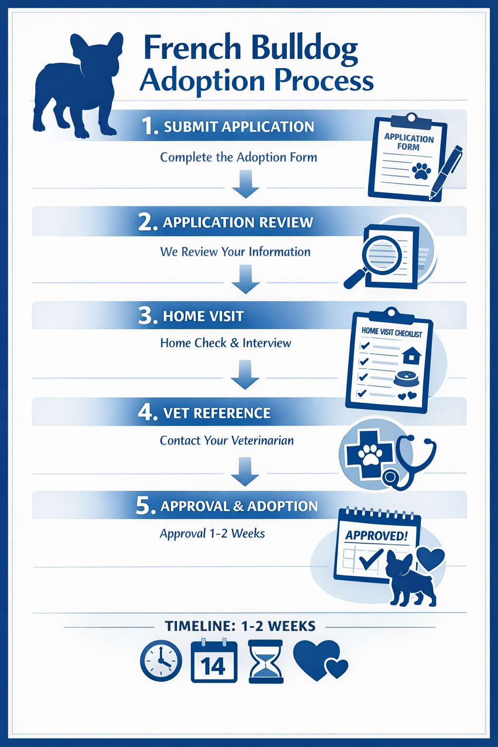 Portrait format (1024x1536) infographic showing French Bulldog adoption application process with step-by-step visual flowchart. Clean modern