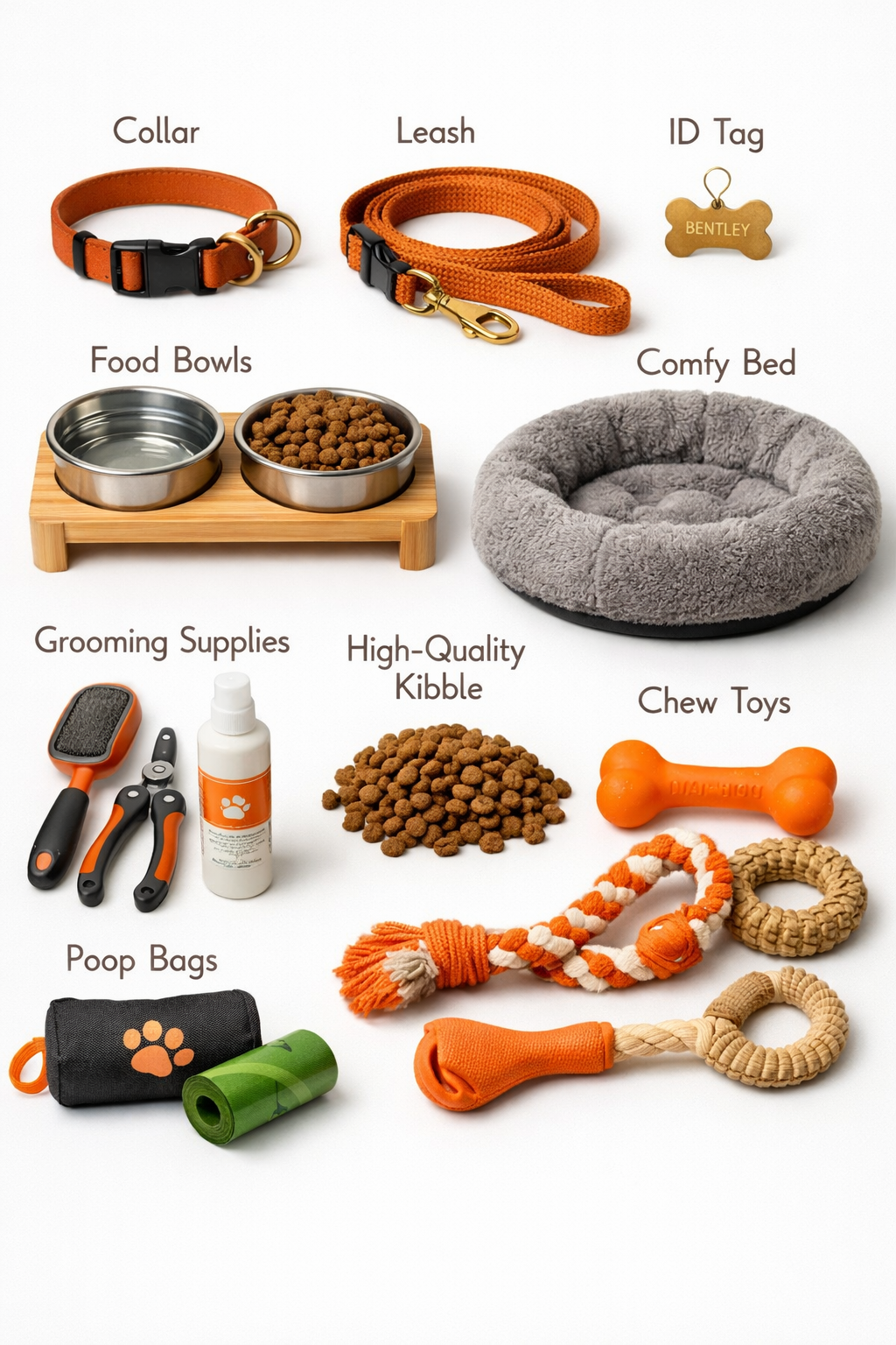 Portrait format (1024x1536) lifestyle image showing essential French Bulldog supplies arranged in organized grid layout. Features collar, le