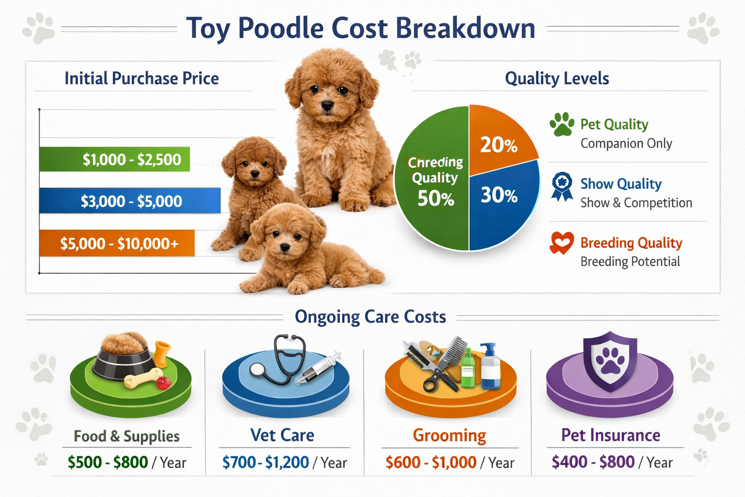 Comprehensive cost breakdown chart showing toy poodle pricing factors with bar graphs and pie charts. Visual elements include puppy photos n