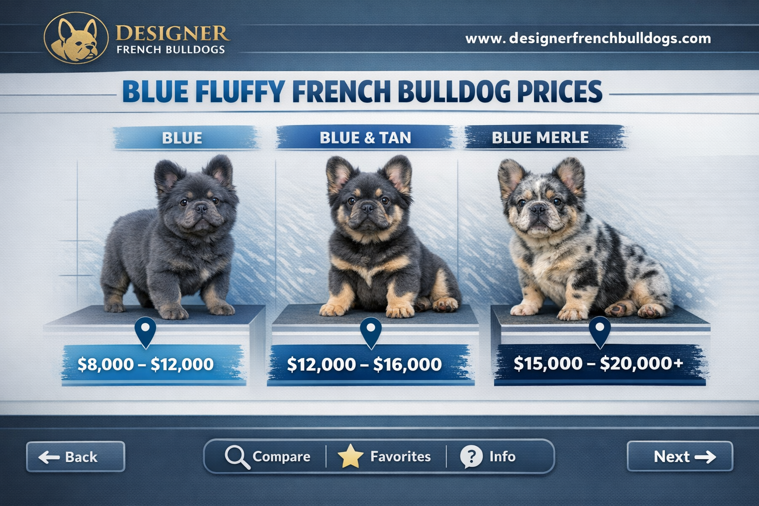 Landscape format (1536x1024) image displaying price comparison chart for blue fluffy French Bulldogs with interactive elements. Professional