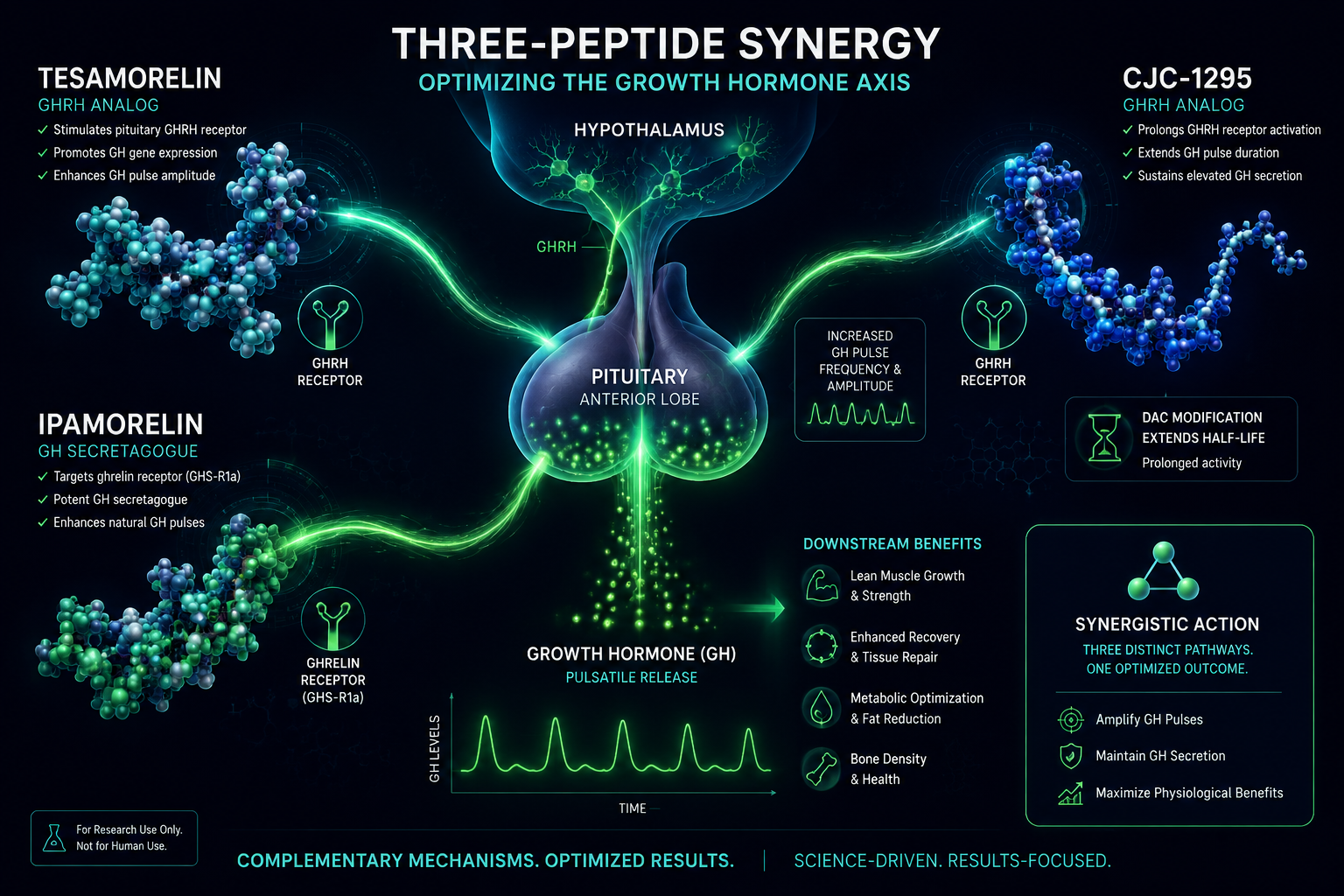 Detailed () scientific infographic illustration showing the three-peptide synergy of Tesamorelin, CJC-1295, and Ipamorelin