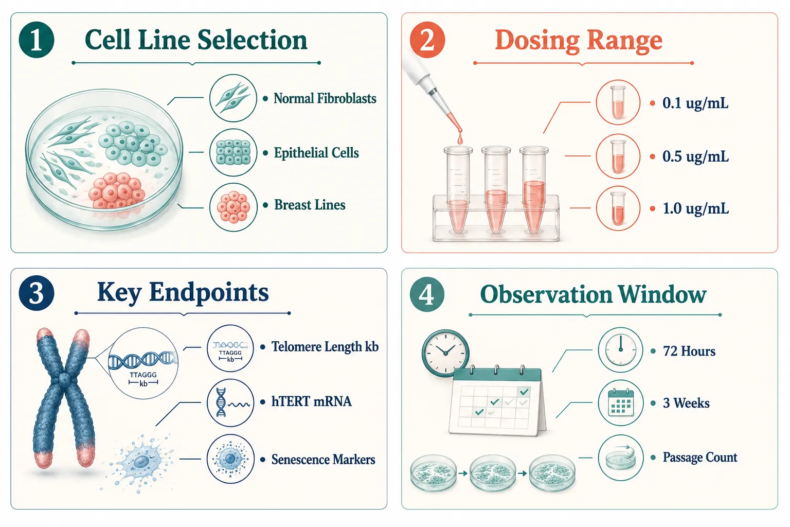 Epithalon Peptide: Telomerase Activation and Cellular Senescence Research Applications in Cell-Line Studies