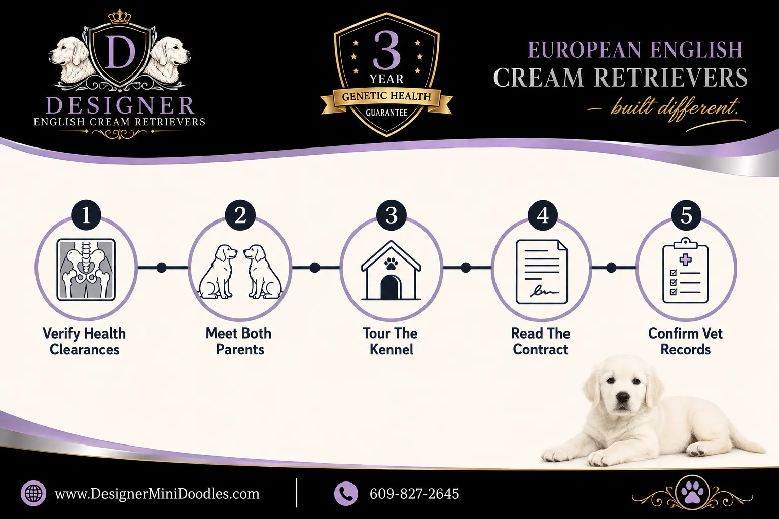 english cream golden retriever breeders near me