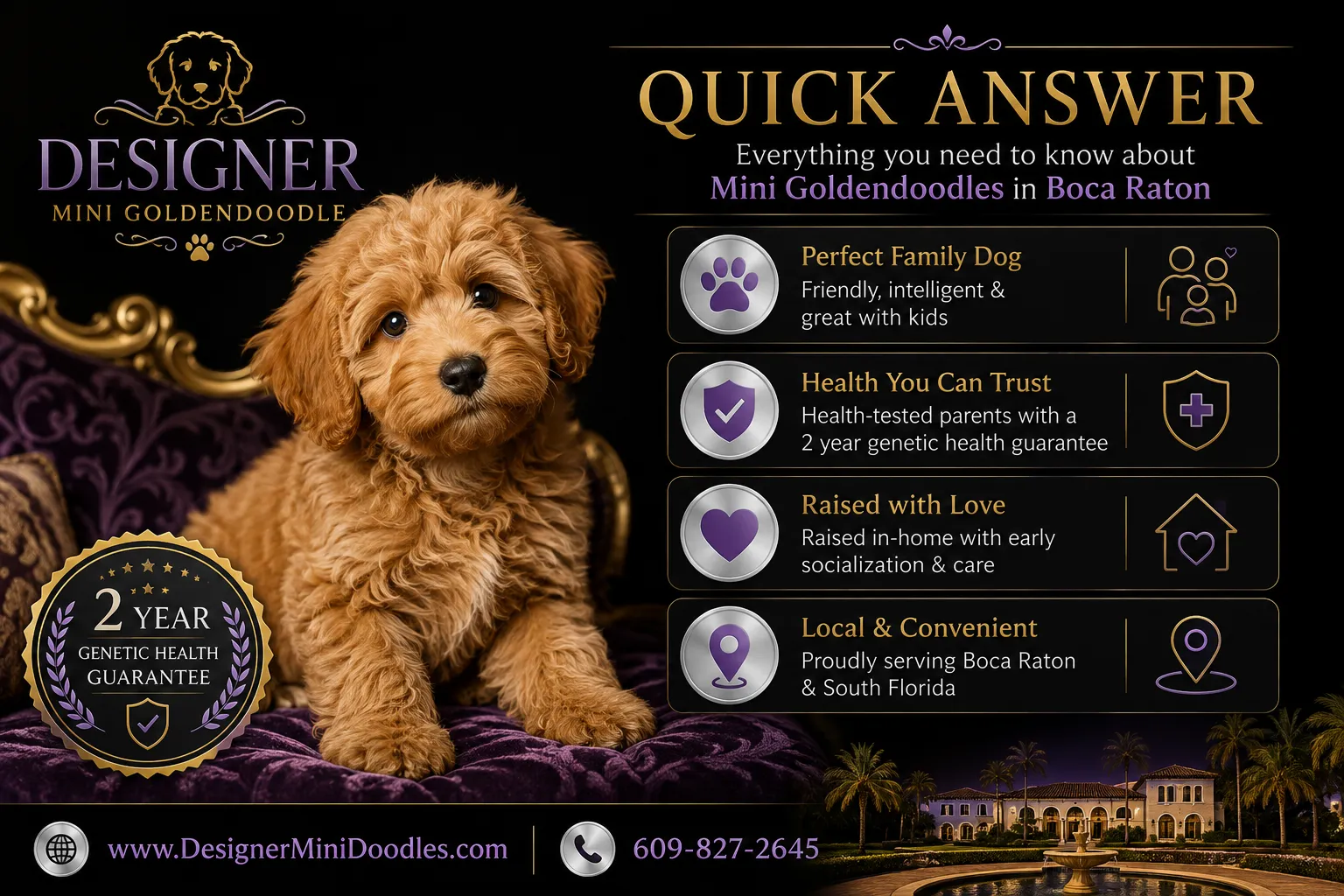 What Is a Mini Goldendoodle, Exactly?