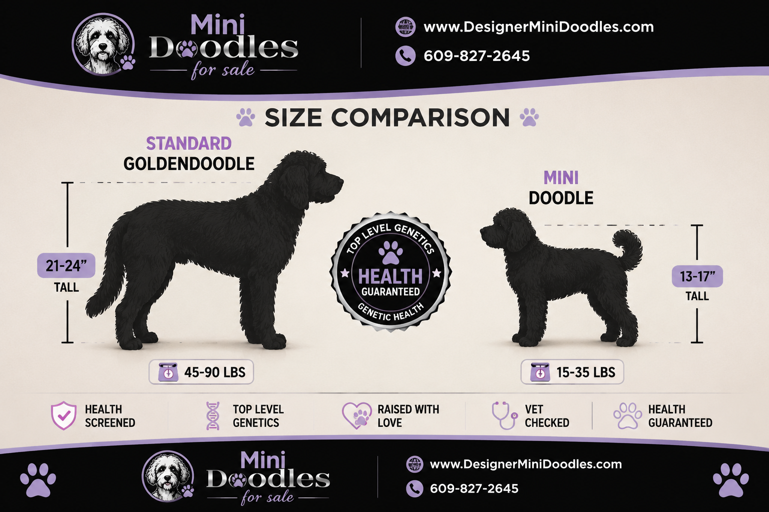 Mini Doodles vs. Regular Doodles: Size Difference Explained
