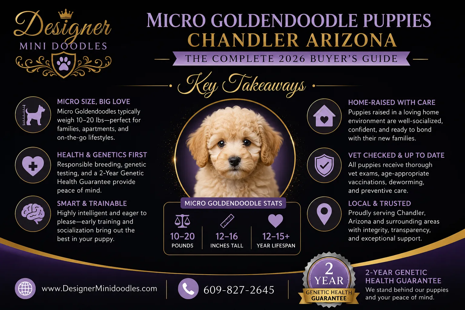 Micro Goldendoodle puppies Chandler Arizona
