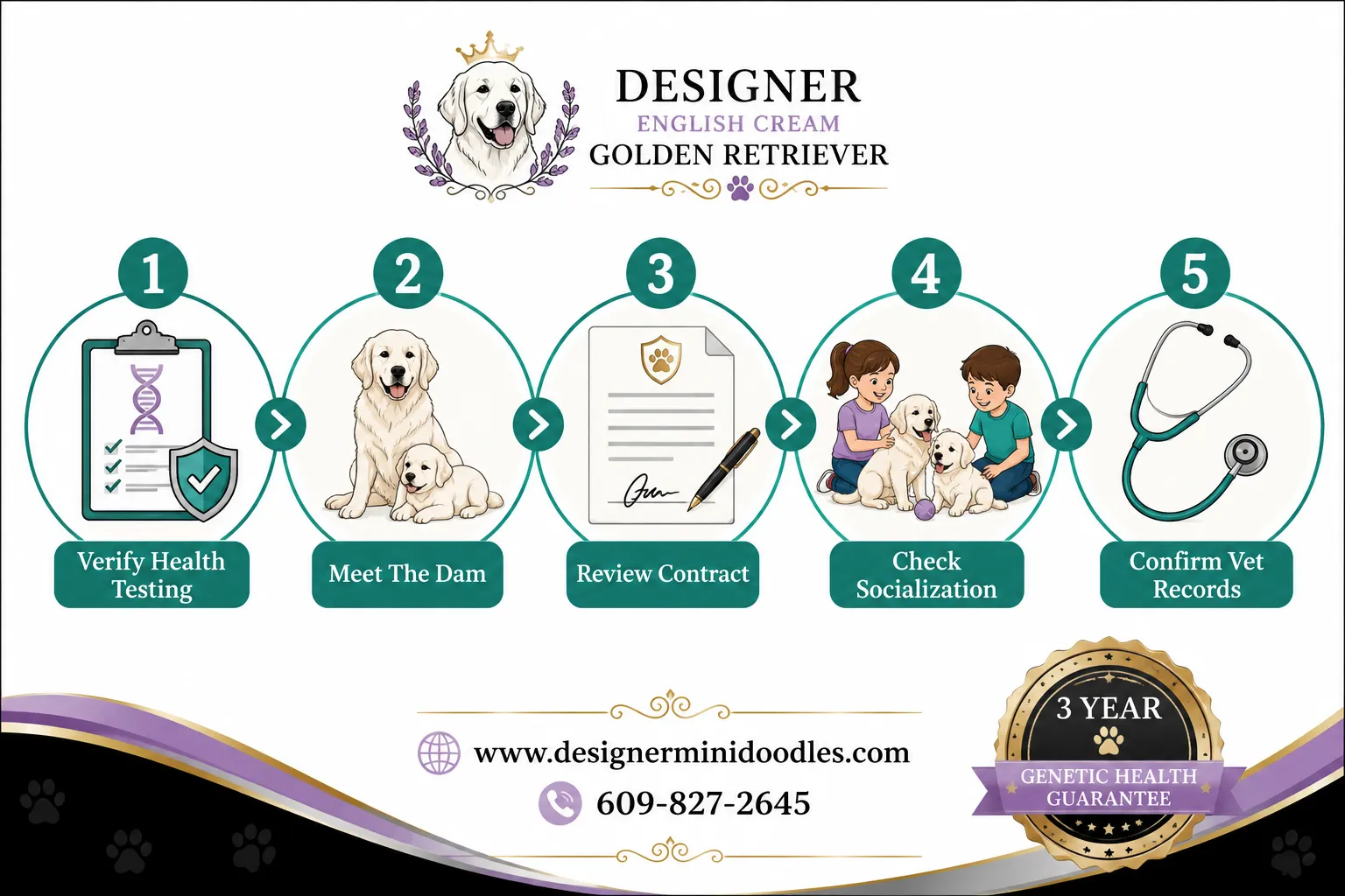 english cream golden retriever breeders Dallas
