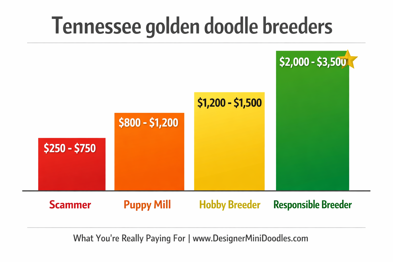 () bar chart infographic visualization comparing puppy price tiers: 'Scammer $250-$750' in red, 'Puppy Mill $800-Puppy price comparison bar chart showing scammer vs responsible breeder tiers,200' in