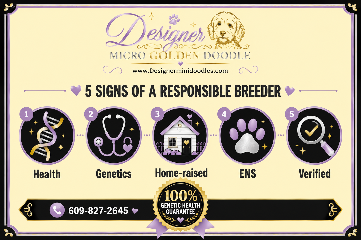 How Much Does a Micro Goldendoodle Cost in Georgia?